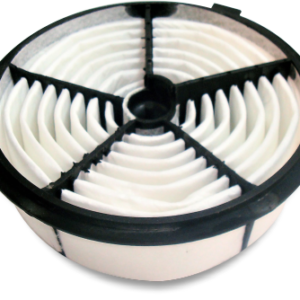 FILTRO AIRE RODEO AP3179 AIP533