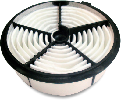 FILTRO AIRE RODEO AP3179 AIP533