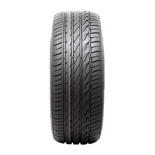 225/55R19 DELMAX PREFORMPRO